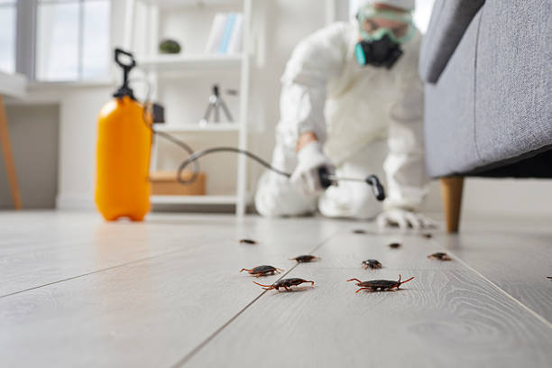 Commercial Kitchen Cockroach Control in Brooklyn Center